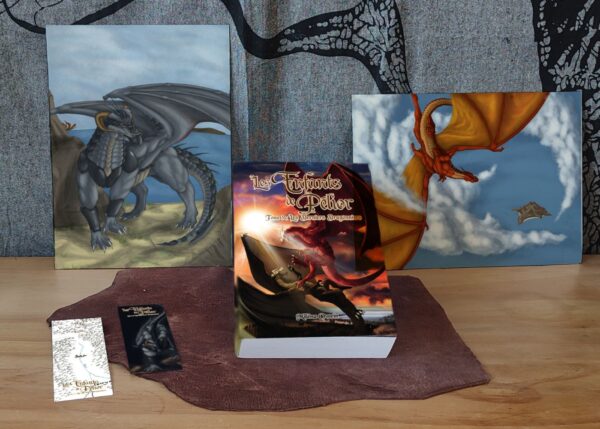 2bdtp-5534 Barda de la Troupe