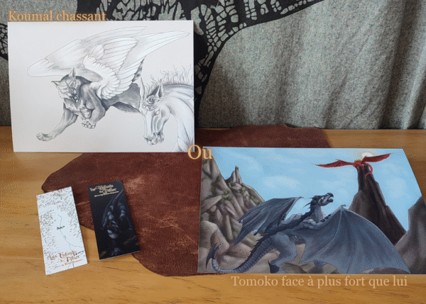 Pack Campagne (1) Missive du Wild